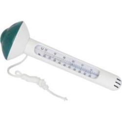 Thermometre Flottant