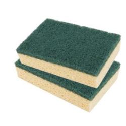 Eponges Abrasives - Lot De 2 - Euromarine