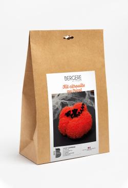 Kit La citrouille au tricot - Bergère de France
