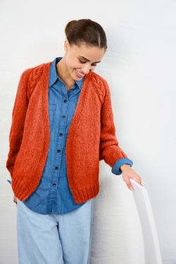 Fiche modèle - Gilet raglan col V emmanchures torsades Tenessy - Bergère de France