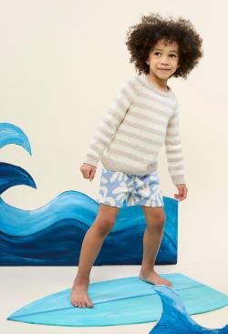 Fiche modèle - Pull raglan rayé Emmanuel - Bergère de France