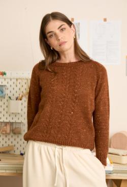 Fiche modèle - Pull raglan à torsades à la machine à tricoter - Bergère de France