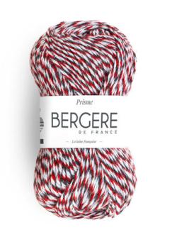 Fil à tricoter - PRISME MULTICO - Bergère de France
