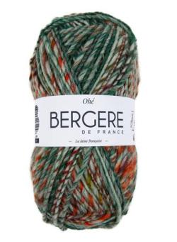 Fil à tricoter - OHE BOUTEILLE - Bergère de France