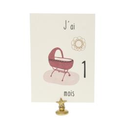 Lot de 12 cartes Ma première année de bébé