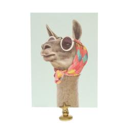 Carte lama fashion