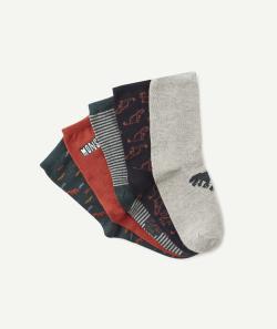 Le lot de 5 chaussettes hautes vertes et rouge à dinosaures - 38-40