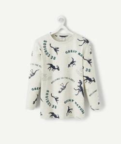 T-shirt gris garçon avec motifs dinosaures et message - 14 A