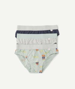 Lot de 3 slips garçon en coton bio imprimé animalier et unis - 10 A