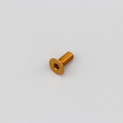 Vis 4x10 mm tête BTR fraisée Evotech dorée (à l'unité)