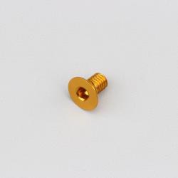 Vis 6x10 mm tête BTR fraisée Evotech dorée (à l'unité)