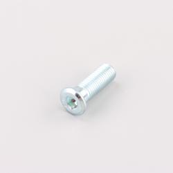 Vis de disque de frein Ø10x30 mm MBK Booster, Rocket, Nitro... Fifty (à l'unité)